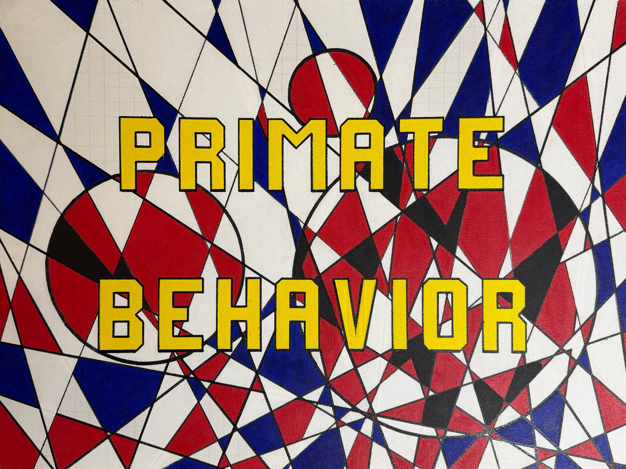 Primate Behavior