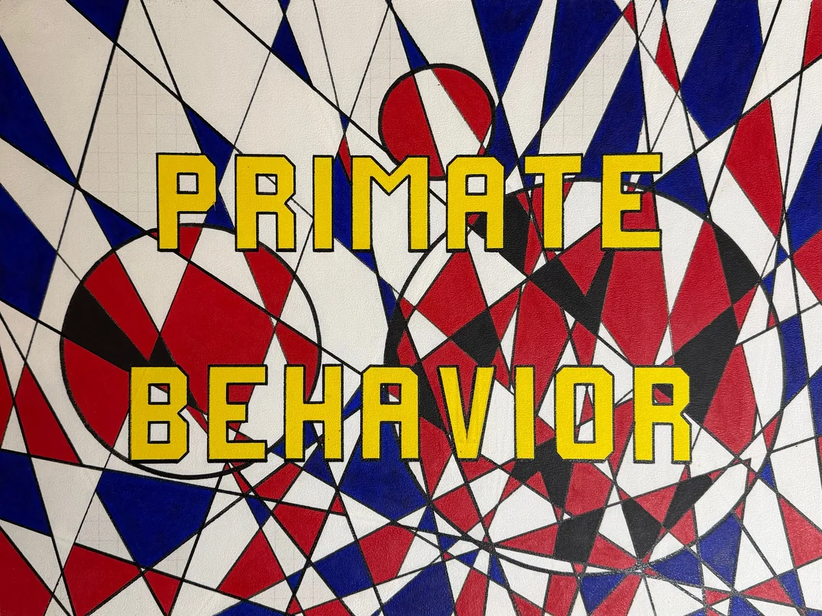 Primate Behavior